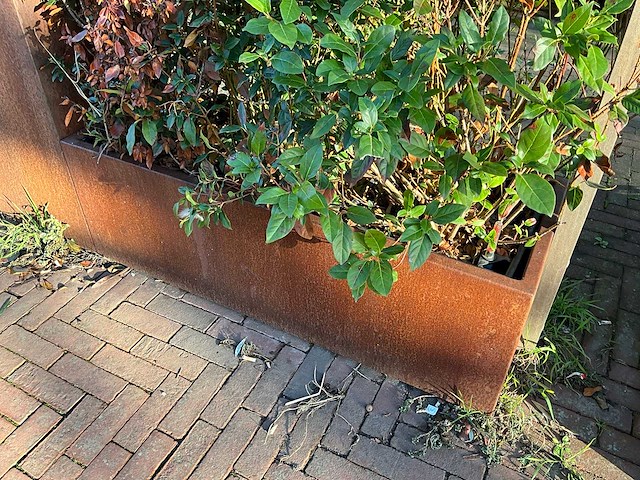 Metalen plantenbak met inhoud (3x) - afbeelding 2 van  5