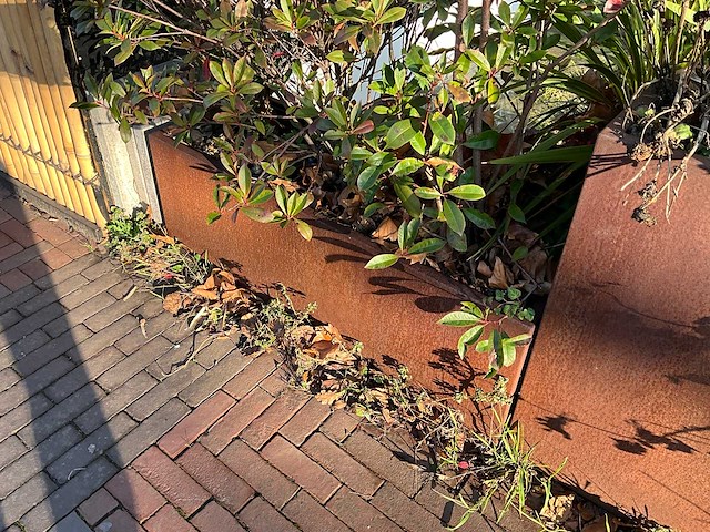 Metalen plantenbak met inhoud (3x) - afbeelding 4 van  5
