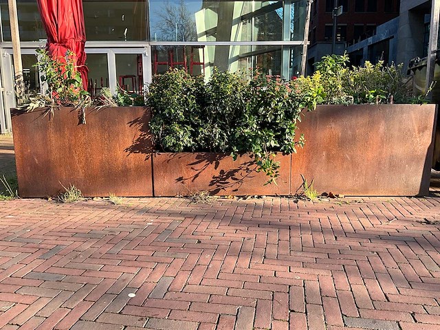 Metalen plantenbak met inhoud (3x) - afbeelding 1 van  5