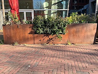 Metalen plantenbak met inhoud (3x) - afbeelding 1 van  5