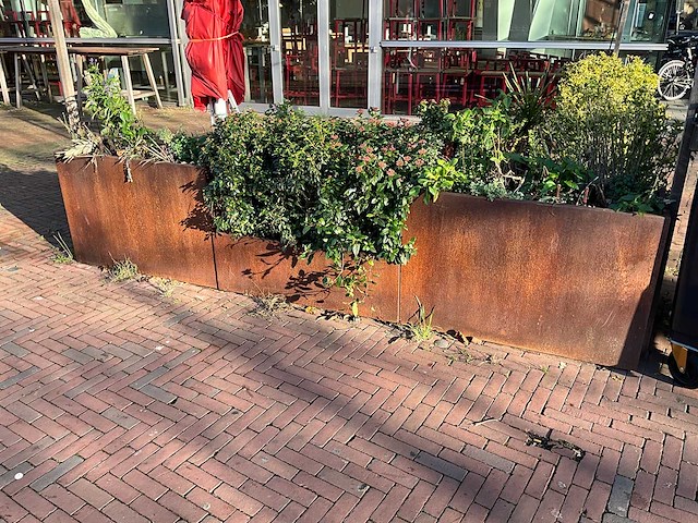 Metalen plantenbak met inhoud (3x) - afbeelding 3 van  5