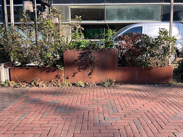 Metalen plantenbak met inhoud (3x) - afbeelding 1 van  5