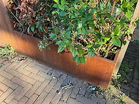 Metalen plantenbak met inhoud (3x) - afbeelding 2 van  5