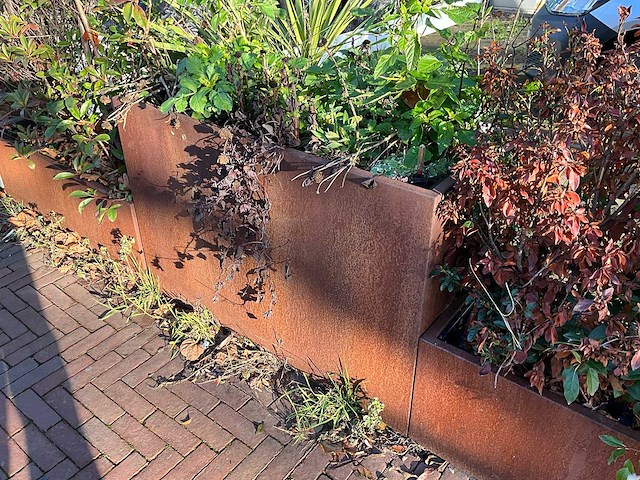 Metalen plantenbak met inhoud (3x) - afbeelding 3 van  5