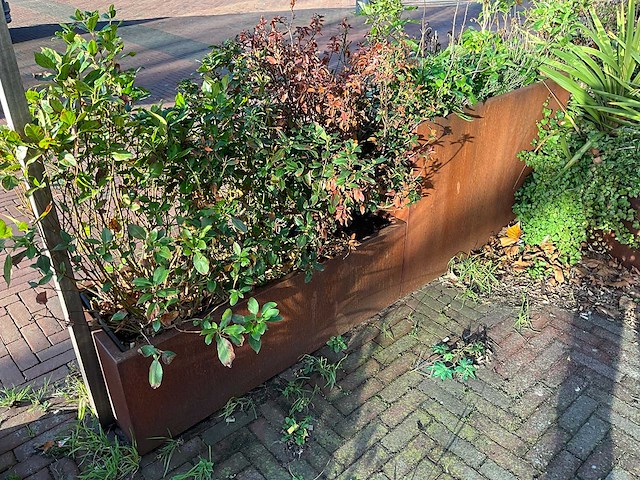 Metalen plantenbak met inhoud (3x) - afbeelding 5 van  5