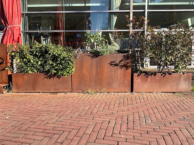 Metalen plantenbak met inhoud (3x) - afbeelding 1 van  5