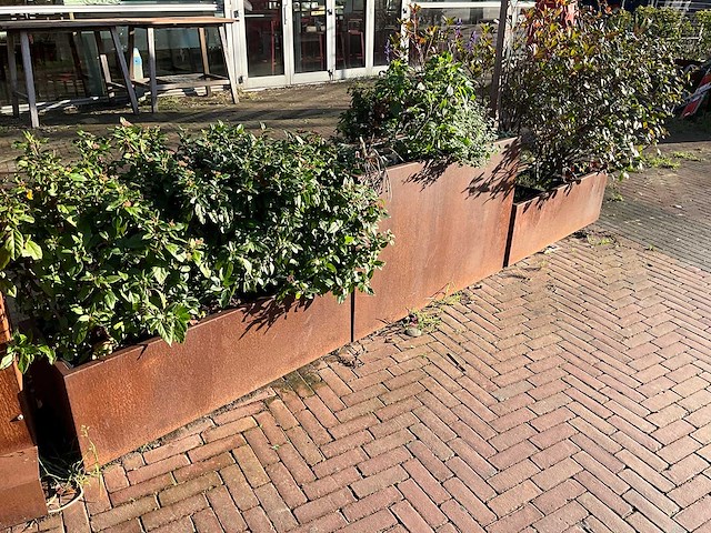 Metalen plantenbak met inhoud (3x) - afbeelding 2 van  5