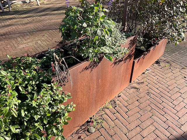 Metalen plantenbak met inhoud (3x) - afbeelding 3 van  5