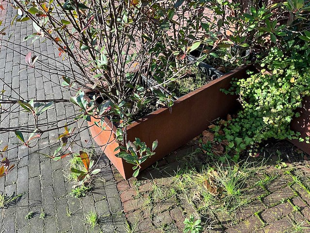 Metalen plantenbak met inhoud (3x) - afbeelding 5 van  5