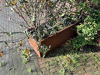 Metalen plantenbak met inhoud (3x) - afbeelding 5 van  5