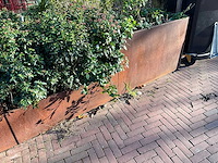 Metalen plantenbak met inhoud (3x) - afbeelding 5 van  5