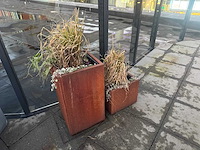 Metalen plantenbak met inhoud (4x) - afbeelding 1 van  6