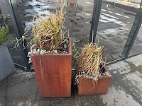 Metalen plantenbak met inhoud (4x) - afbeelding 2 van  6