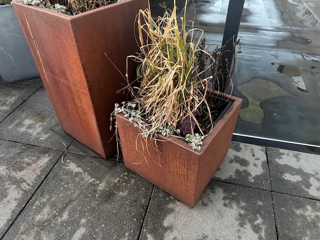 Metalen plantenbak met inhoud (4x) - afbeelding 3 van  6