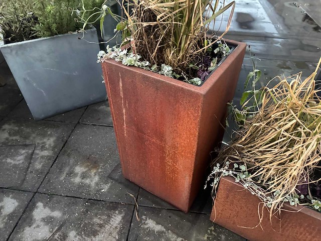 Metalen plantenbak met inhoud (4x) - afbeelding 4 van  6