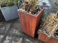 Metalen plantenbak met inhoud (4x) - afbeelding 4 van  6