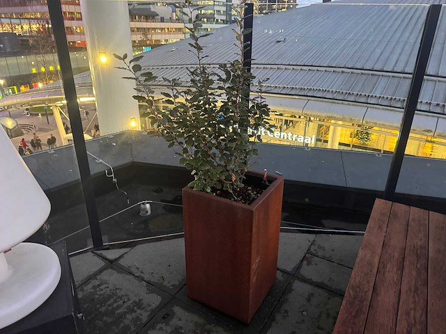 Metalen plantenbak met inhoud (4x) - afbeelding 6 van  6