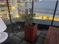 Metalen plantenbak met inhoud (4x) - afbeelding 6 van  6