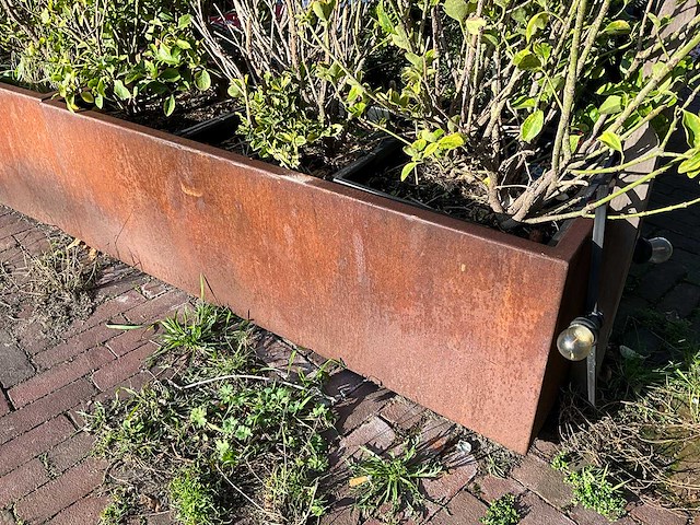 Metalen plantenbak met inhoud - afbeelding 2 van  4