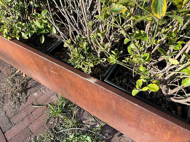 Metalen plantenbak met inhoud - afbeelding 3 van  4