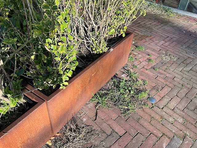 Metalen plantenbak met inhoud - afbeelding 4 van  4