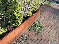 Metalen plantenbak met inhoud - afbeelding 4 van  4