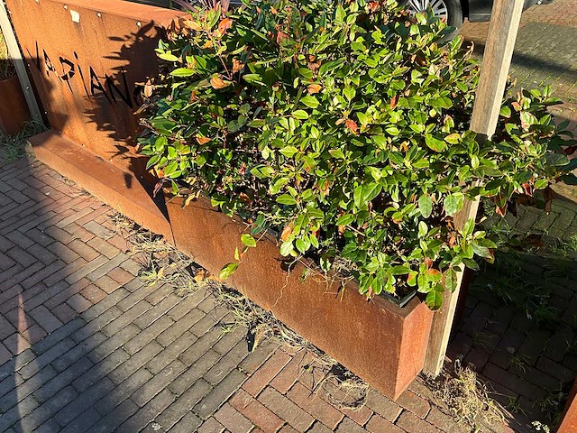 Metalen plantenbak & terrasafscheiding - afbeelding 3 van  4