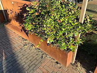 Metalen plantenbak & terrasafscheiding - afbeelding 3 van  4