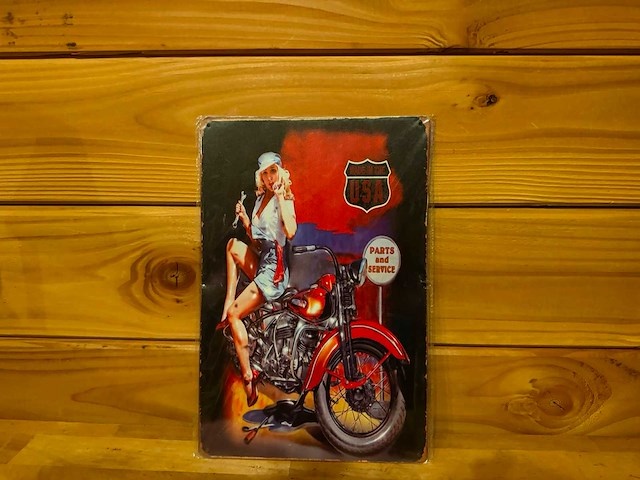 Metalen reclamebord 20x30cm - afbeelding 1 van  1