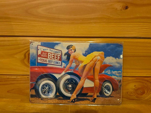 Metalen reclamebord 20x30cm - afbeelding 1 van  1