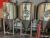Meto/ mueller fermentatie tank (5x) - afbeelding 23 van  28