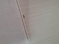 Meubelpaneel - ca. 120x60x2 cm - afbeelding 2 van  3