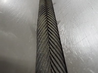 Meyn - afbeelding 9 van  11