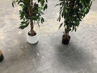 Mica decorations - diverse kunstplanten - plants in pot (7x) - afbeelding 6 van  7