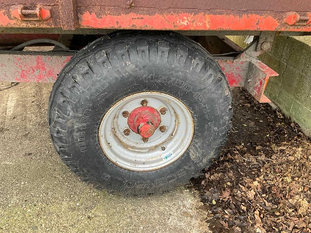 Miedema kipper - afbeelding 4 van  8