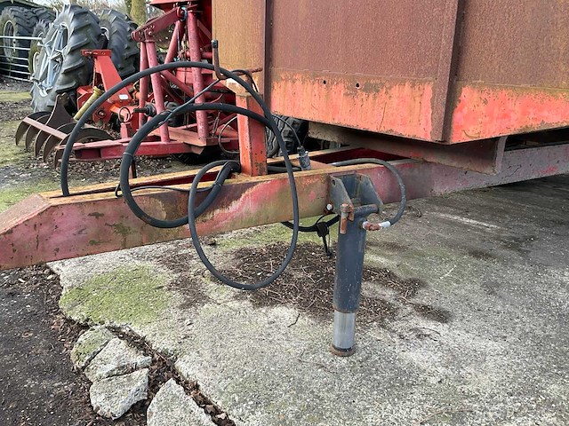 Miedema kipper - afbeelding 5 van  8