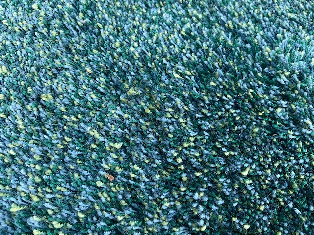 Millenerpoort bella milano 250x340cm poolhoogte 25mm 100% wol - afbeelding 1 van  6