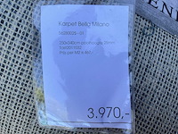 Millenerpoort bella milano 250x340cm poolhoogte 25mm 100% wol - afbeelding 3 van  6