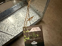 Mini kasje - afbeelding 5 van  5