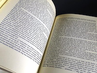 M.m. kaye. de wrede passaat - afbeelding 4 van  5