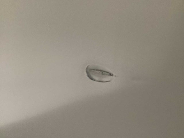 Mobiel whiteboard - afbeelding 4 van  4