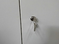 Mobiele kast (2x) - afbeelding 2 van  14