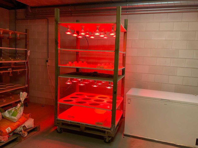 Mobiele kweekkast (3x) - afbeelding 1 van  6