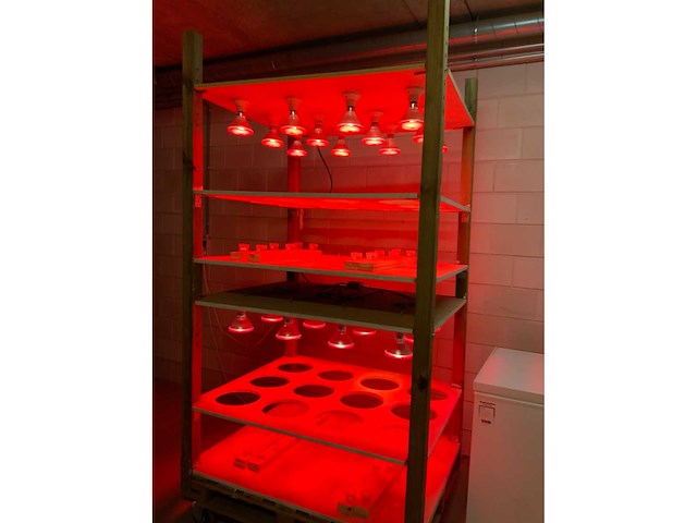 Mobiele kweekkast (3x) - afbeelding 5 van  6