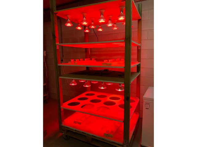 Mobiele kweekkast (3x) - afbeelding 6 van  6