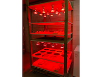 Mobiele kweekkast (3x) - afbeelding 6 van  6