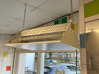 Moel 397 insectenvanger - afbeelding 1 van  1