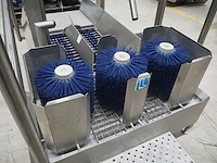 Mohn - afbeelding 11 van  14
