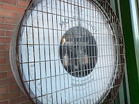 Molenschot t.b.m-k weegschaal - afbeelding 6 van  6