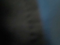 Monitor (21x) - afbeelding 3 van  4